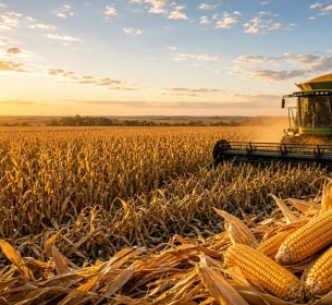 O produto chegou ao campo. O canal ainda não.
