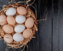 Concentrar ou Diversificar seus Investimentos: Qual a melhor opção?