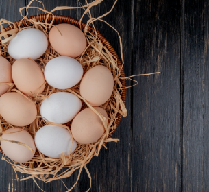 Concentrar ou Diversificar seus Investimentos: Qual a melhor opção?