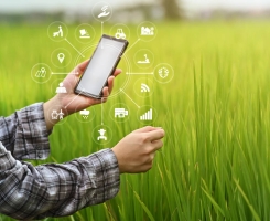 Digitalização de negócios no agro: transformando a cadeia produtiva