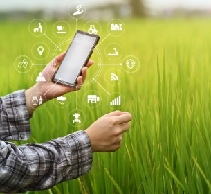 Digitalização de negócios no agro: transformando a cadeia produtiva